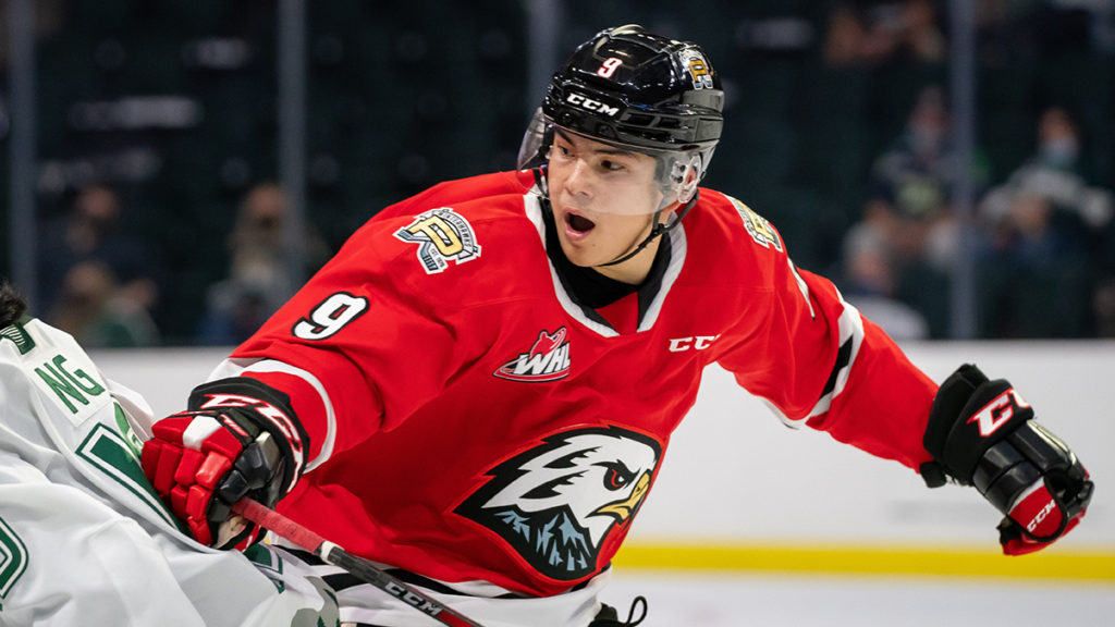 Litke web-1024x576.jpeg