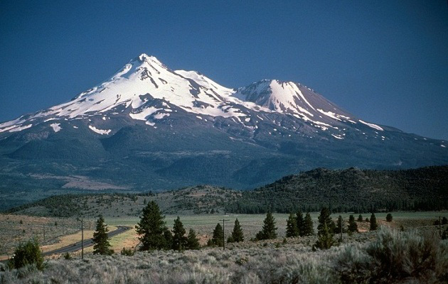 shasta